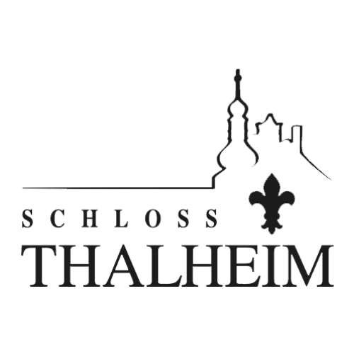 Partner Logo 3